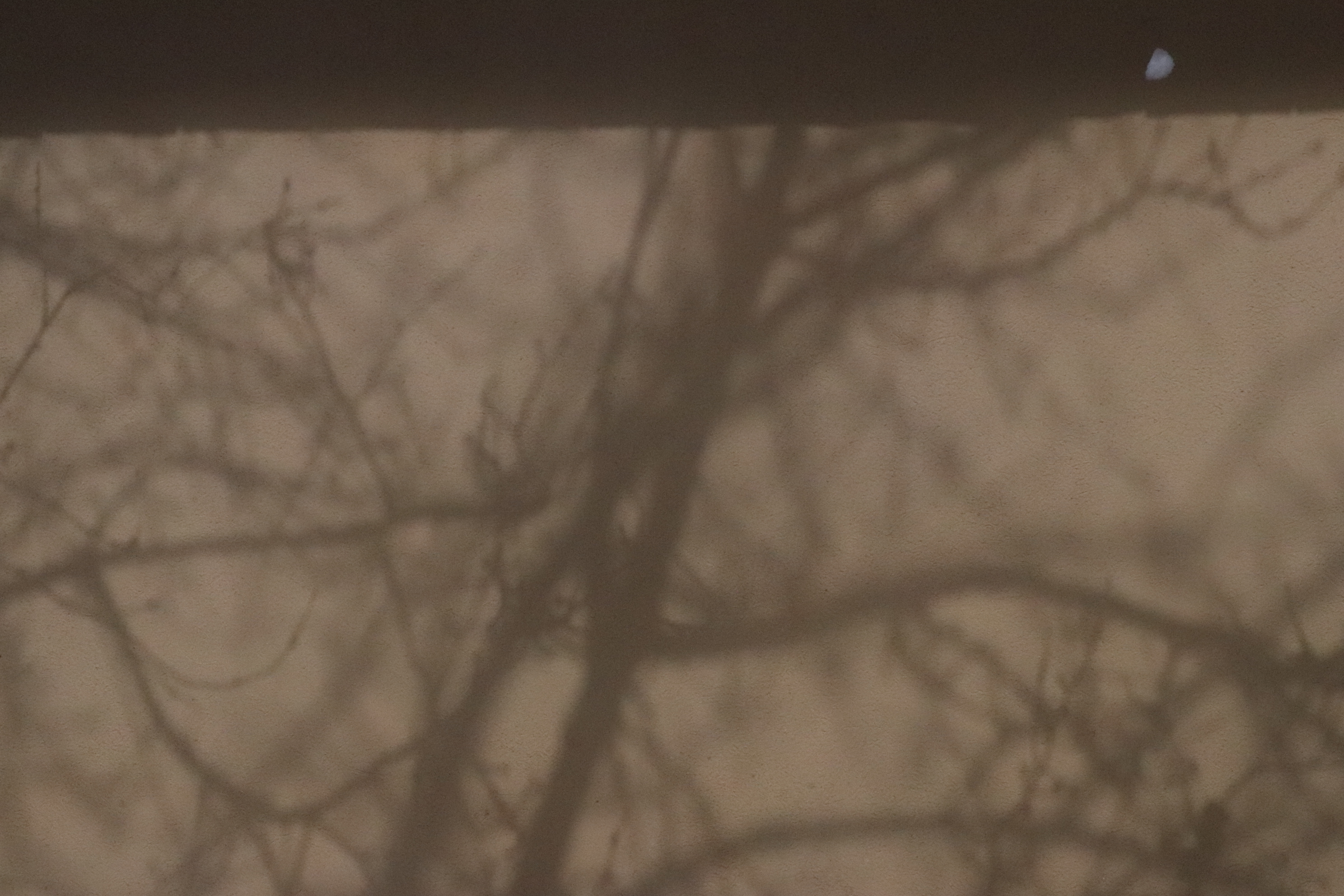 Photograph 06